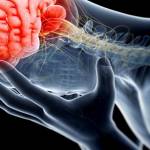 Lesione da trauma cranico reati violenti