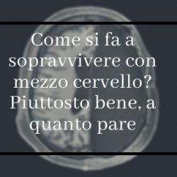 sopravvivere con mezzo cervello