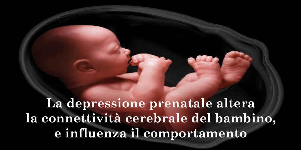 La depressione prenatale altera la connettività cerebrale del bambino, e influenza il comportamento