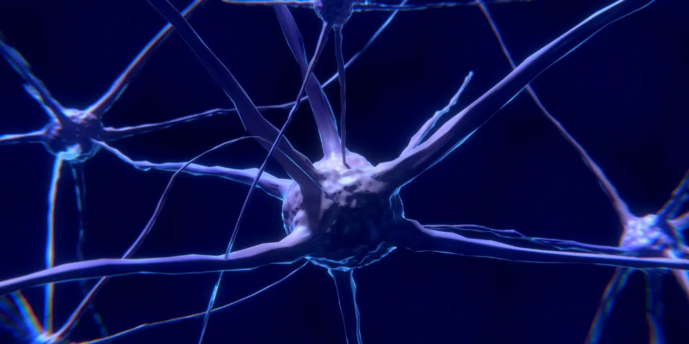 neuro-imaging trauma sintomi dissociativi